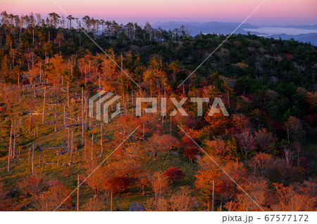 朝日を浴びる大台ケ原（奈良県吉野郡上北山村） 67577172