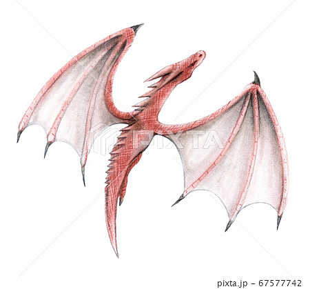 翼を広げて飛ぶ赤いドラゴンのイラスト素材