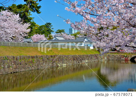 小田原城・南側の道路より眺める馬出門土橋・桜の季節・満開・神奈川 小田原城・南側の道路より眺める馬出門土橋・桜の季節・満開・神奈川 67578071