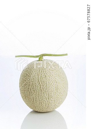 マスクメロン　メロン　 67578827