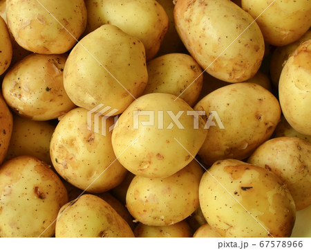 Potatoes background Raw young potatoes background. 67578966