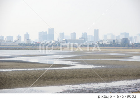 三枚洲（葛西海浜公園の沖合い）／東京都江戸川区 67579002