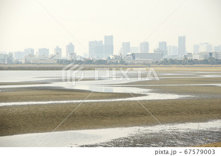 三枚洲（葛西海浜公園の沖合い） 67579003