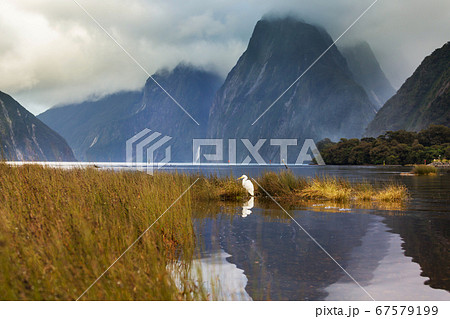 Milford sound 67579199
