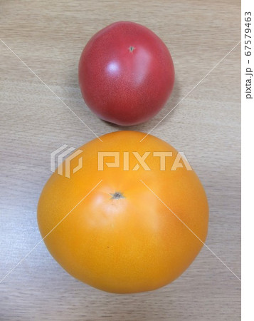 Orange Tomato Momotaro Gold Stock Photo