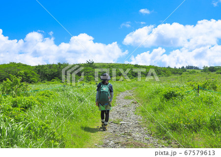 夏の霧ヶ峰ハイキング　エコイメージ 67579613