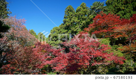 きれいな紅葉の金剛輪寺 きれいな紅葉の金剛輪寺 67580193