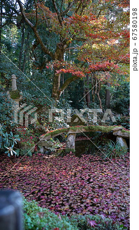 きれいな紅葉の金剛輪寺 67580198