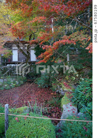 きれいな紅葉の金剛輪寺 きれいな紅葉の金剛輪寺 67580199