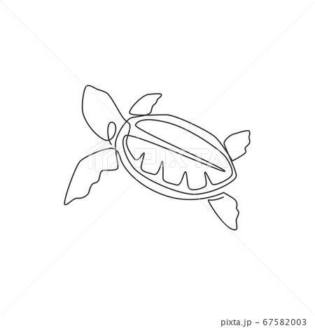 One Single Line Drawing Of Big Turtle For のイラスト素材