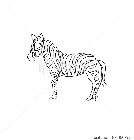 One single line drawing of zebra for national... - Stock Illustration  [67582057] - PIXTA