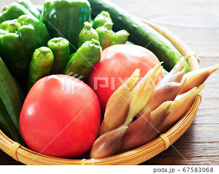 夏野菜の盛り合わせ 夏野菜の盛り合わせ 67583068