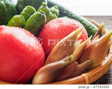 夏野菜の盛り合わせ 夏野菜の盛り合わせ 67583069