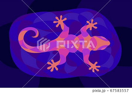 Art with shiny neon colored gecko silhouette 67583557