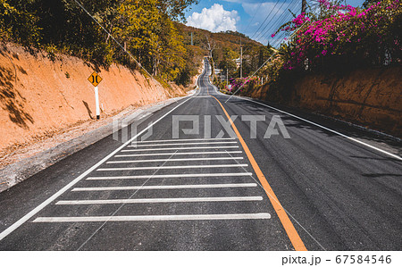 Road  in autumn season nature. 67584546