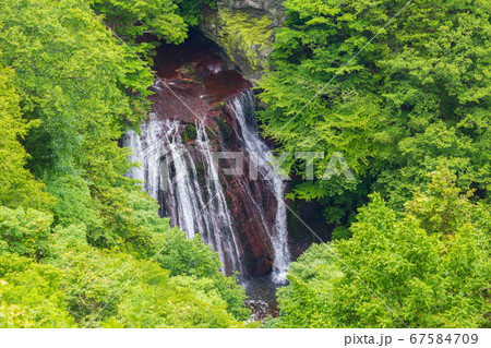 信州奥蓼科の夏　風涼やかな横谷峡（横谷渓谷）　王滝 67584709