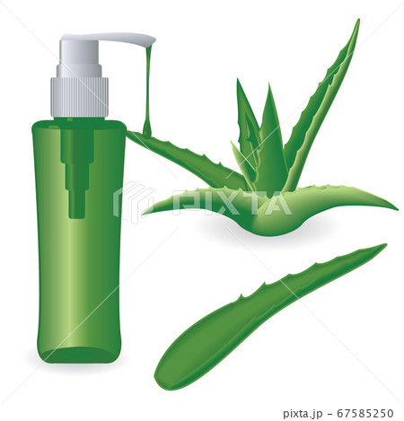 Aloe vera plant and a bottle of gel 67585250