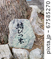 ［石川県］白山比咩神社表参道　おもてや／シンボルツリー・結びつ木 67585270