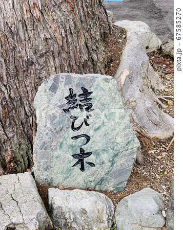 ［石川県］白山比咩神社表参道　おもてや／シンボルツリー・結びつ木 67585270