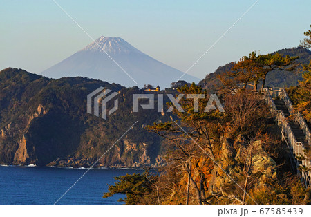 静岡県/ 黄金崎 富士見の丘から見える富士山 静岡県/ 黄金崎 富士見の丘から見える富士山 67585439