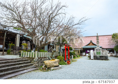 櫻本坊／桜本坊の境内風景（奈良県吉野郡吉野町吉野山）2020年4月 67587037