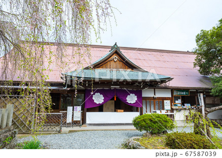 櫻本坊／桜本坊の境内風景（奈良県吉野郡吉野町吉野山）2020年4月 67587039
