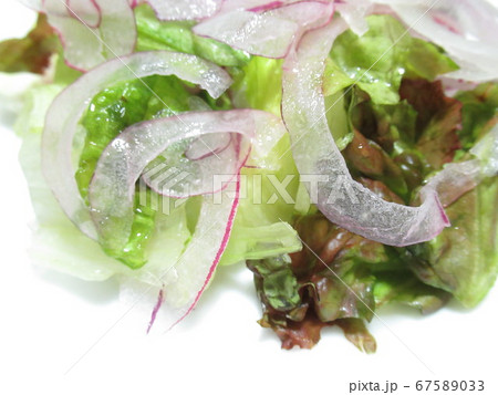 サニーレタスと紫たまねぎのサラダ 67589033