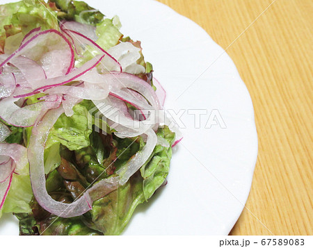 サニーレタスと紫たまねぎのサラダの写真素材 6750