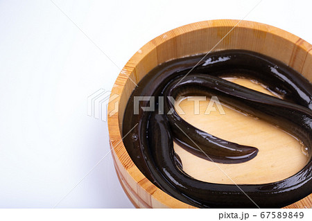 うなぎ 生 うなぎ 生 67589849