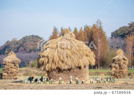 見沼田んぼの秋の風物詩藁塚「フナノ」 67589938