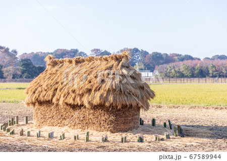 見沼田んぼの秋の風物詩藁塚「フナノ」 見沼田んぼの秋の風物詩藁塚「フナノ」 67589944
