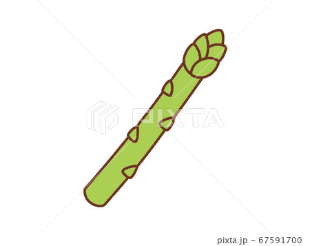 アスパラガス アスパラガス 67591700