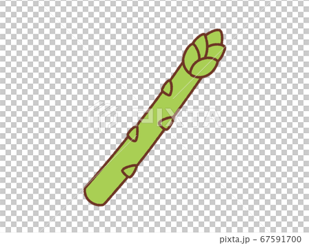 アスパラガス アスパラガス 67591700