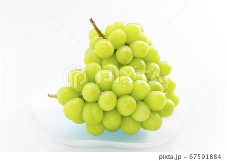 シャインマスカット　マスカット　葡萄 67591884