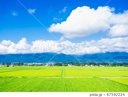夏の信州 安曇野の田園風景 夏の信州 安曇野の田園風景 67592224