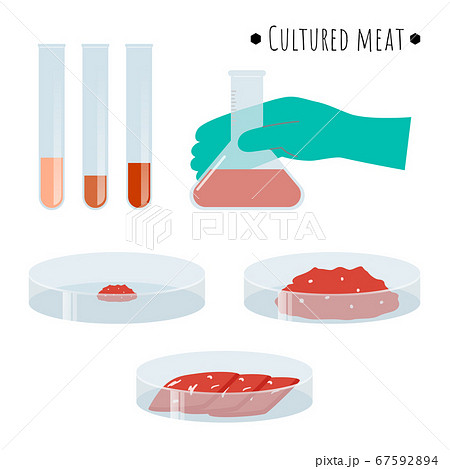 培養肉のイラストのイラスト素材