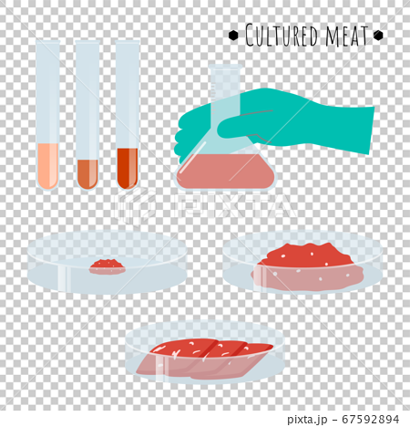 培養肉のイラストのイラスト素材