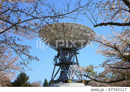 さくら宇宙公園へ行きました　　＃54 67593117