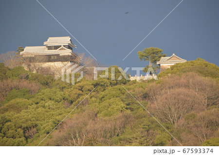 黒門口方面から見た伊予松山城（愛媛県松山市） 67593374