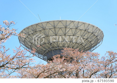 さくら宇宙公園へ行きました　　＃64 67593590