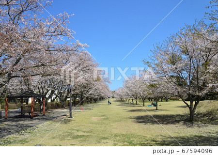 さくら宇宙公園へ行きました #73 さくら宇宙公園へ行きました #73 67594096