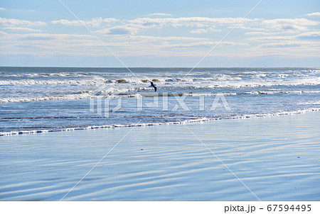 波打ち際を飛ぶ、一羽の海鳥-2　（九十九里 蓮沼海浜公園） 67594495