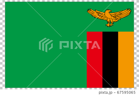 New World Flag 2:3 Ver Zambia 67595065