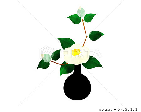 一輪挿しに生けた白い椿の花　水彩風 67595131