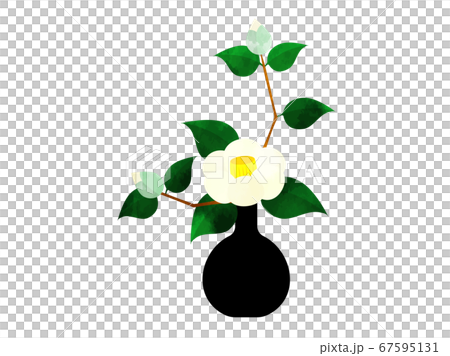 White camellia flowers arranged in a vase, watercolor style White camellia flowers arranged in a vase, watercolor style 67595131