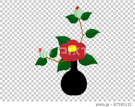 Red camellia flower arranged in a vase Red camellia flower arranged in a vase 67595132