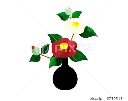 花瓶に生けた紅白の椿の花 水彩風のイラスト素材