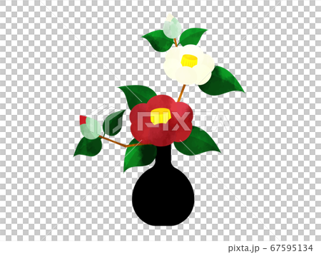 紅色和白色的山茶花花朵插在花瓶裡，水彩風格 67595134