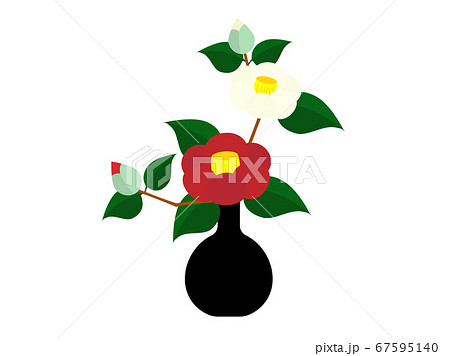 花瓶に生けた紅白の椿の花のイラストのイラスト素材