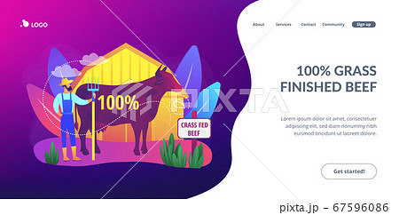 Grass fed beef concept landing page. 67596086